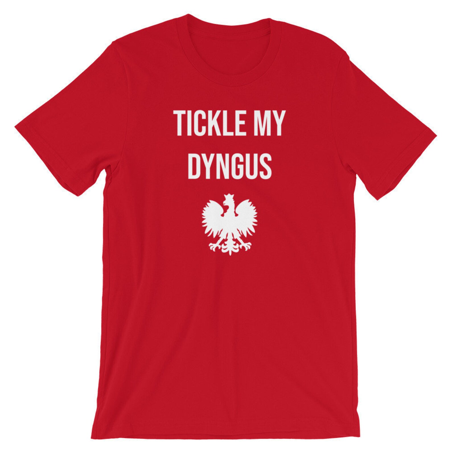 Dyngus Day Dyngus Day Shirts Polish T Shirtsbuffalo T Etsy