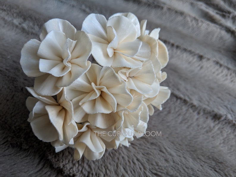 Set of 5 Hydrangea Sola Flowers