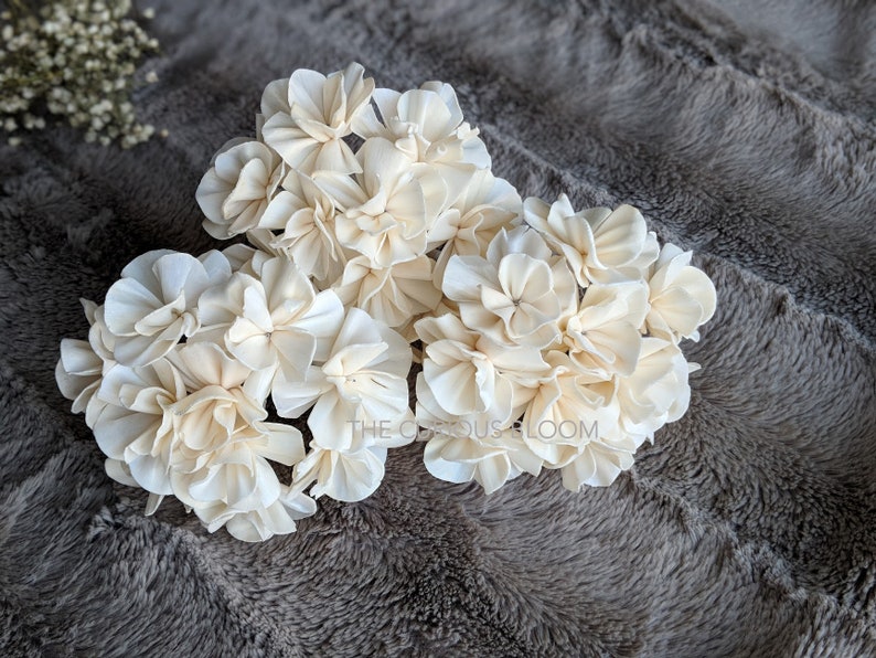 Set of 5 Hydrangea Sola Flowers