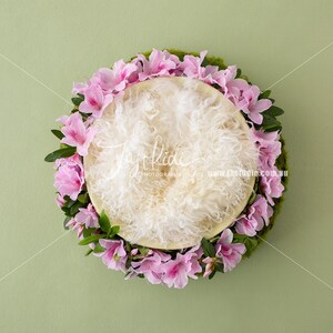 Rhododendron Blossom Newborn Photography Digital Background Composite