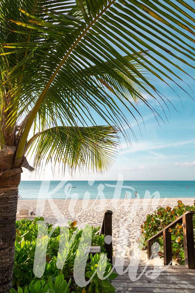 Tropical Island Beach Art Caribbean Beach Photo Tropical Wall Art Palm Tree Photo Turks /& Caicos Digital Download Photo |