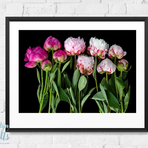 Pink Peony Photo | Flower Wall Art | Peony Photography | Macro Photography | Digital Download | Floral Photography | Spring Flower |