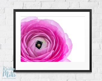 Ranunculus Photo | Pink Flower Photo | Flower Wall Art | Macro Photography | Digital Download | Floral Photography | Spring Flower |