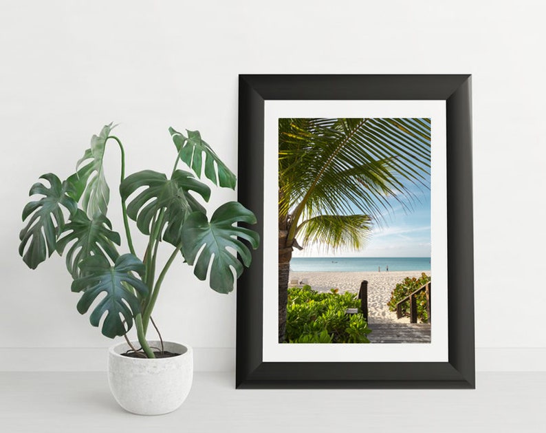 Tropical Island Beach Art Caribbean Beach Photo Tropical Wall Art Palm Tree Photo Turks /& Caicos Digital Download Photo |
