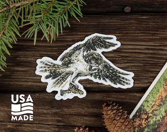 Osprey STICKER 50% Off clearance / USA Made Waterproof Trout Fishing Vinyl Water Bird Birding Laptop Bumper Sticker Decal Illustration