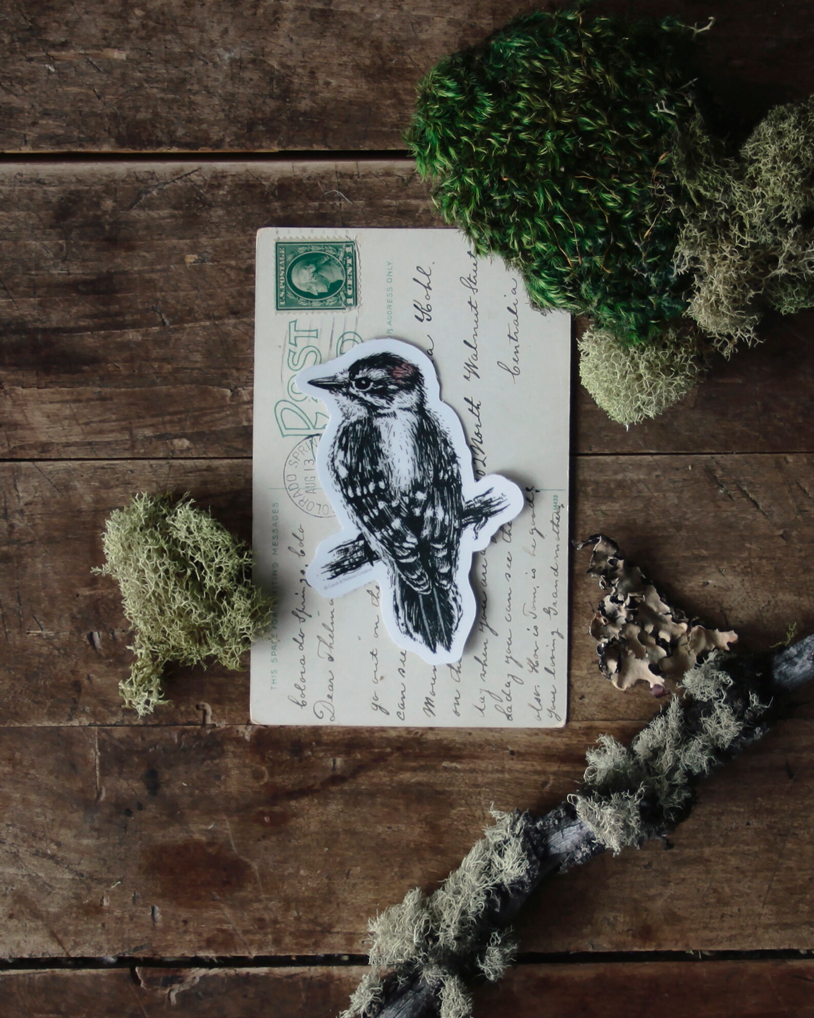 Any 3 Bird STICKERS Coupon Code / Set Flock Waterproof Vinyl Etsy