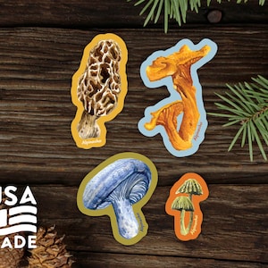 Mushrooms STICKER / Waterproof Vinyl Fungi Morel Chanterelle Foraging Water Bottle Laptop Funny Bumper Sticker Decal Alpinecho