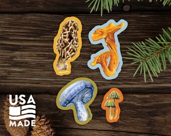 Mushrooms STICKER / Waterproof Vinyl Fungi Morel Chanterelle Foraging Water Bottle Laptop Funny Bumper Sticker Decal Alpinecho