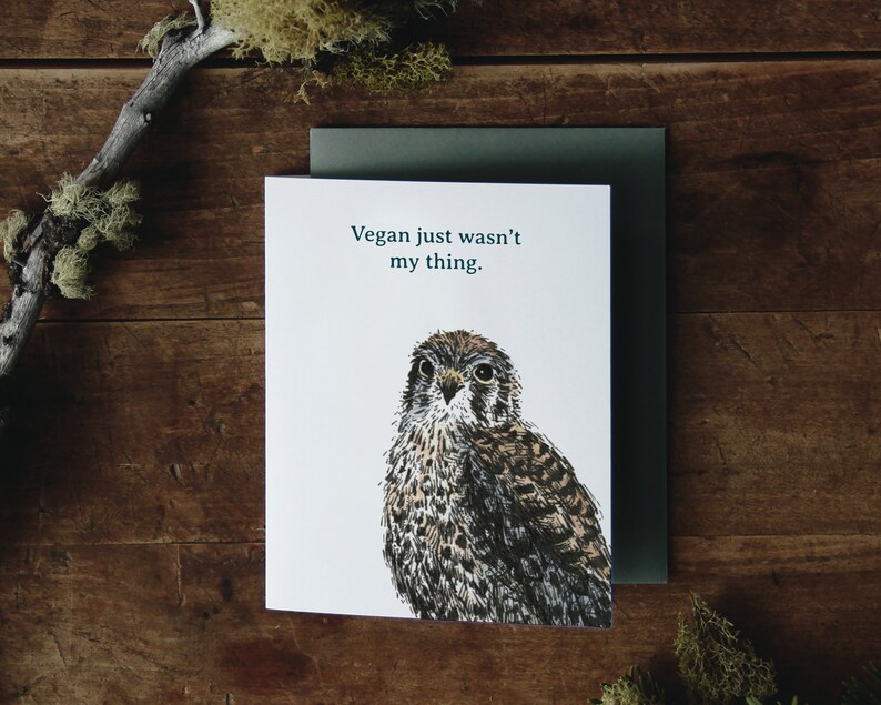 Bird Chatter GREETING CARD Box Set of 5 A2 Jokes Funny Humor Stationary Bird Birding Boxed Cards Pack Letter Writing CatchReleaseCreative