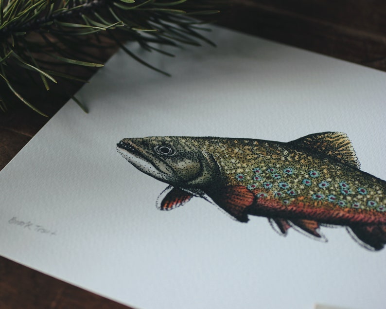 Brook Trout ART PRINT / 8x10 Giclée Watercolor Painting Pen Etsy