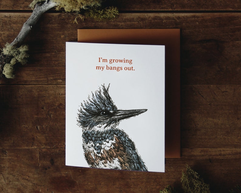Bird Chatter GREETING CARD Box Set of 5 A2 Jokes Funny Humor Stationary Bird Birding Boxed Cards Pack Letter Writing CatchReleaseCreative