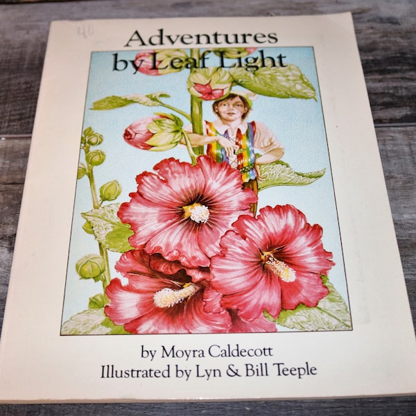 1978 Adventures by Leaf Light Written by Moyra Caldecott, Vintage Fairy Book, Fairy Illustrations, Vintage Garden Book