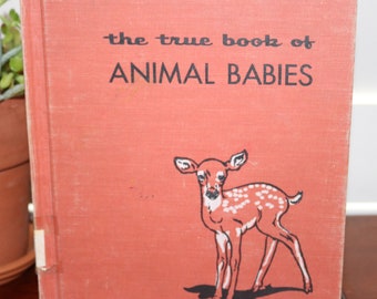 The True Book Of Animal Babies Par Illa Podendorf, Première édition - 1955 Relié ex-bibliothèque