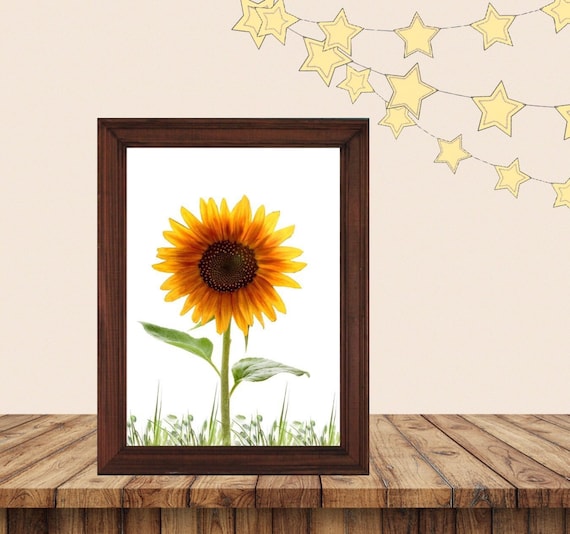 Sunflower Nursery Decor Printable Flower Wall Art Flower Printable Baby Art Baby Room Art Baby Girl Room Decor Boy Room Decor