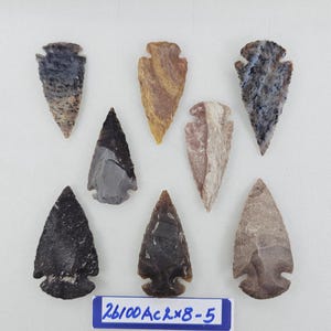 May include: A collection of eight stone arrowheads in various colors, including gray, brown, and tan. The arrowheads are arranged on a white surface. A blue and white label at the bottom reads "26100 Ac x 8-5".