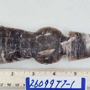 May include: A stone artifact, possibly a tool or weapon, with a dark brown and white marbled appearance. The object is approximately 7 inches long and has a unique shape with a rounded central section and a pointed end. A ruler and a label are in the image.