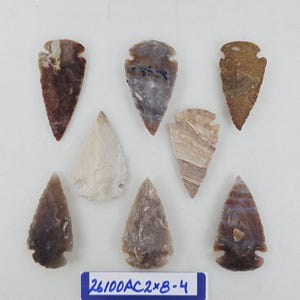 8 Piece 2" Arrowhead Lot - Hand Knapped