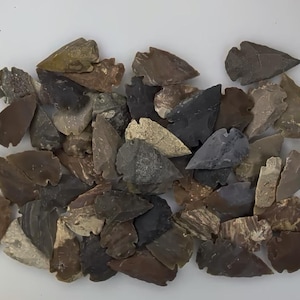 May include: A collection of numerous stone arrowheads in various earth tones including shades of brown, gray, tan, and black. Each arrowhead features a pointed tip, sharp edges, and a notched base, displaying natural stone textures and variations.