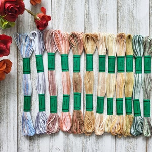 DMC Variegated Embroidery Floss Set, Full Set of 18 Colours