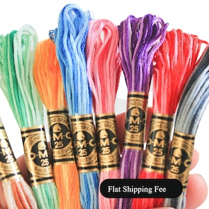 1x DMC Variegated Embroidery Floss - 6-Strand Floss - Listing is for 1 (one) skein 8m / 8.7 yard,  Multicolor Embroidery Floss