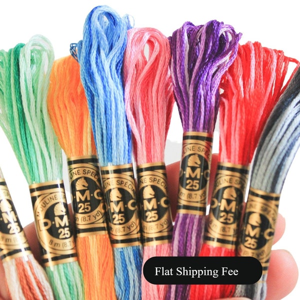 DMC Variegated Embroidery Floss, DMC Mouline Special 25 Art 117, Six Stranded Cotton Thread, Cross Stitch Floss, Embroidery Floss,