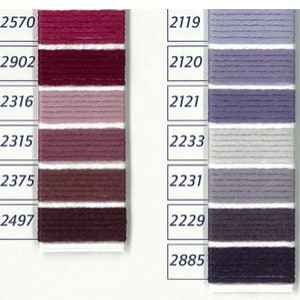 Pu&ograve; includere: Una cartella colori con file di campioni di filo in varie tonalit&agrave; di rosa, viola, grigio e blu. I numeri del filo sono elencati sopra ogni fila. I numeri includono 2110, 2111, 2112, 2719, 2718, 2916, 2570, 2902, 2316, 2315, 2375, 2497, 2119, 2120, 2121, 2233, 2231, 2229, 2885, 2825, 2824, 2932, 2933, 2931, 2930, 2929.