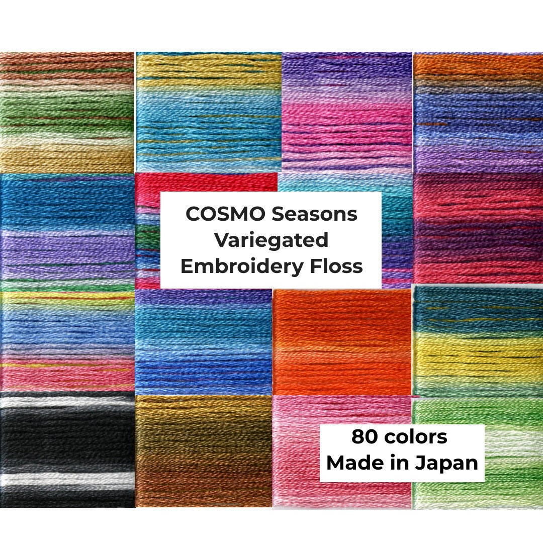 Hand Embroidery Floss - Cosmo Seasons Variegated #8031
