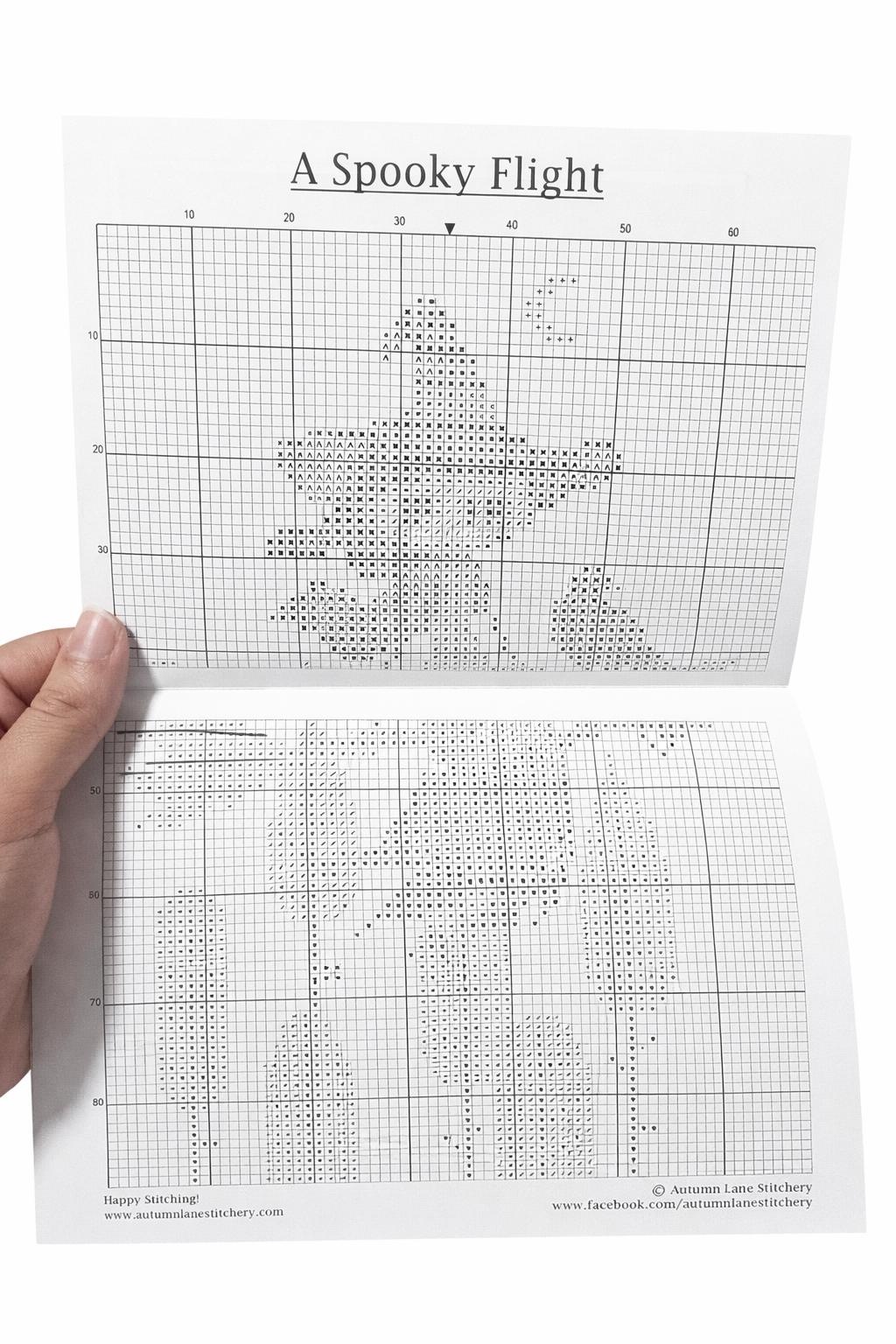 Spooky Flight Cross Stitch Pattern
