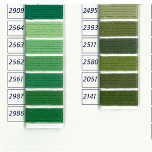 Pu&ograve; includere: Una cartella colori di filo da ricamo DMC con tonalit&agrave; di verde, blu e marrone. La cartella include i numeri di filo 2928, 2926, 2924, 2130, 2524, 2522, 2127, 2909, 2564, 2563, 2562, 2561, 2987, 2986, 2495, 2393, 2511, 2580, 2051, 2141, 2833, 2832, 2146, 2830, 2829, 2148, 2149, 2468.