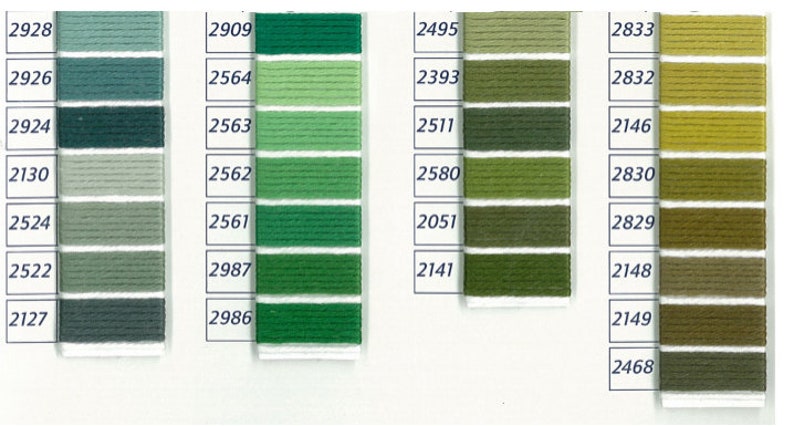 Pu&ograve; includere: Una cartella colori di filo da ricamo DMC con tonalit&agrave; di verde, blu e marrone. La cartella include i numeri di filo 2928, 2926, 2924, 2130, 2524, 2522, 2127, 2909, 2564, 2563, 2562, 2561, 2987, 2986, 2495, 2393, 2511, 2580, 2051, 2141, 2833, 2832, 2146, 2830, 2829, 2148, 2149, 2468.