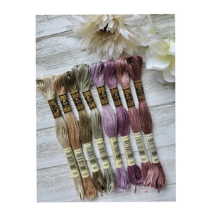 May include: Eight spools of DMC embroidery floss in shades of brown, green, purple, and pink. The spools are labeled with DMC numbers: 3782, 644, 640, 647, 304, 3041, 3861, and 3866.
