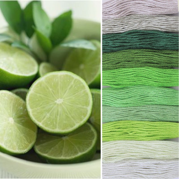 Kit 10 Skeins LIME GREEN Embroidery Floss 6 Strands, Cross Stitch Cotton Thread, Embroidery Thread, Embroidery Floss, Cotton Floss, Green