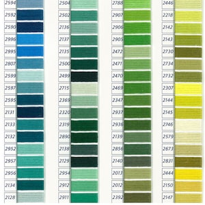 Pu&ograve; includere: Una cartella colori di filo da ricamo DMC con una variet&agrave; di tonalit&agrave; di verde, blu e giallo. La cartella &egrave; divisa in quattro colonne, ciascuna con una gamma di colori diversa. I numeri del filo sono stampati su ogni riga.