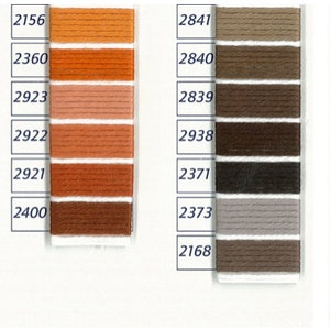 Pu&ograve; includere: Una cartella colori con file di campioni di filo in varie tonalit&agrave; di marrone, arancione, grigio e nero. I campioni di filo sono etichettati con numeri, tra cui 2158, 2156, 2159, 2360, 2766, 2923, 2765, 2922, 2434, 2921, 2433, 2400, 2801, 2898, 2841, 2170, 2840, 2414, 2839, 2413, 2938, 2172, 2371, 2310 e BLANC.
