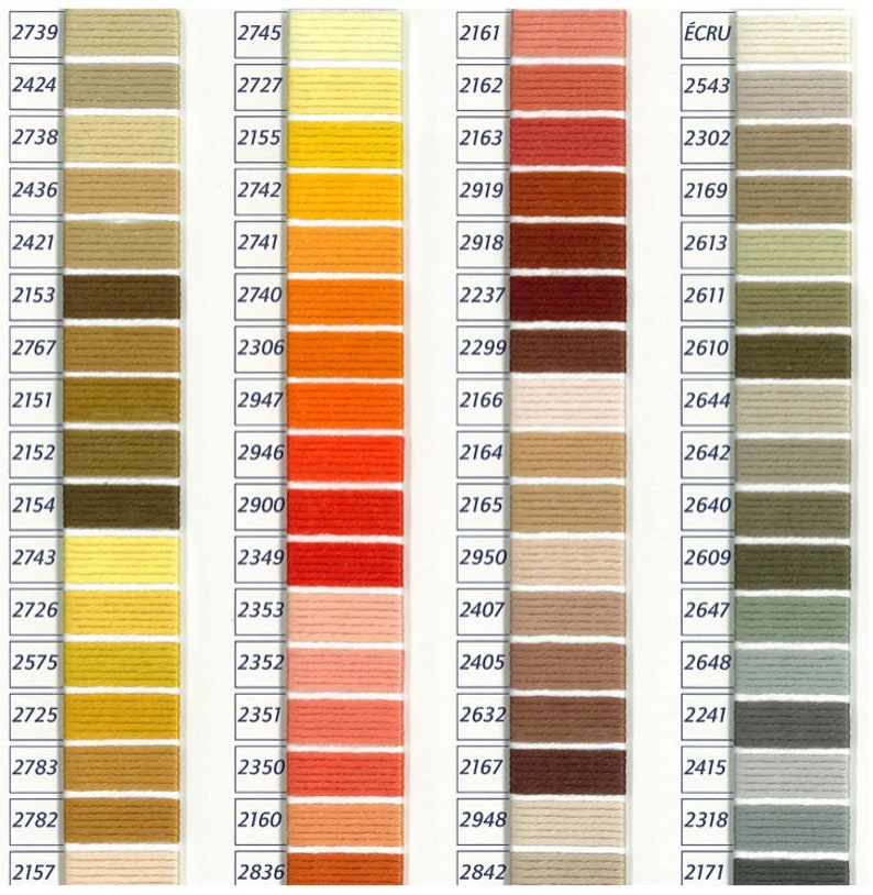 Pu&ograve; includere: Una cartella colori di filo da ricamo DMC con una variet&agrave; di colori, tra cui beige, marrone, arancione, rosso, rosa e verde. La cartella &egrave; etichettata con i numeri del filo DMC.