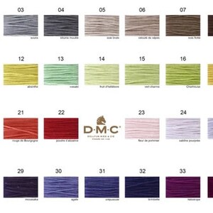 Peut inclure: Un nuancier de fils &agrave; broder DMC avec 35 couleurs diff&eacute;rentes. Les couleurs sont dispos&eacute;es en rang&eacute;es de cinq, chaque couleur &eacute;tant &eacute;tiquet&eacute;e d'un num&eacute;ro et d'un nom fran&ccedil;ais. Le nuancier est imprim&eacute; sur un fond blanc.