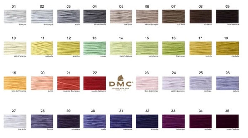 Peut inclure: Un nuancier de fils &agrave; broder DMC avec 35 couleurs diff&eacute;rentes. Les couleurs sont dispos&eacute;es en rang&eacute;es de cinq, chaque couleur &eacute;tant &eacute;tiquet&eacute;e d'un num&eacute;ro et d'un nom fran&ccedil;ais. Le nuancier est imprim&eacute; sur un fond blanc.