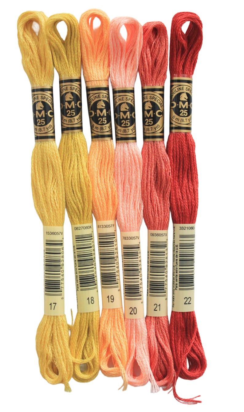 six skeins of different colors of yarn