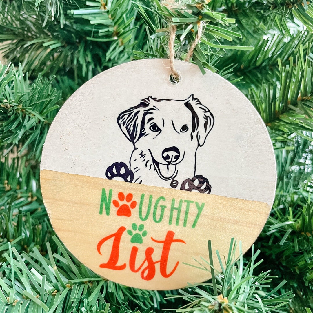 Custom Photo Funny Pet Personalized Photo Mica Ornament Christmas Gift For Dog Lovers