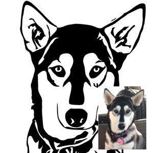 May include: Black and white silhouette of a husky dog with a photo of a real husky dog in the bottom right corner.
