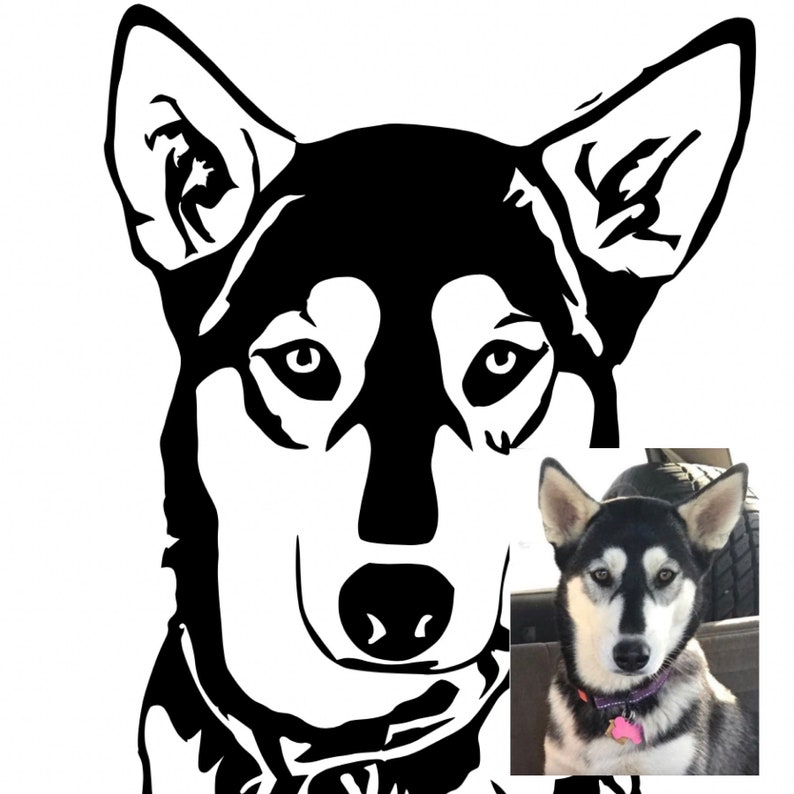 May include: Black and white silhouette of a husky dog with a photo of a real husky dog in the bottom right corner.