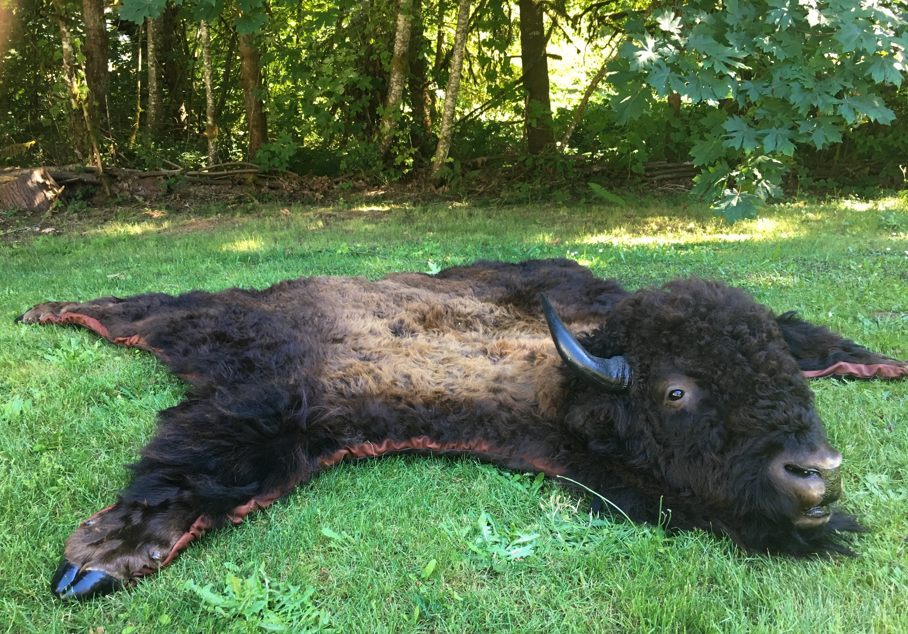 American Buffalo/Bison Hide Rug with Head and Hoofs Etsy