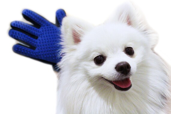 true touch pet glove