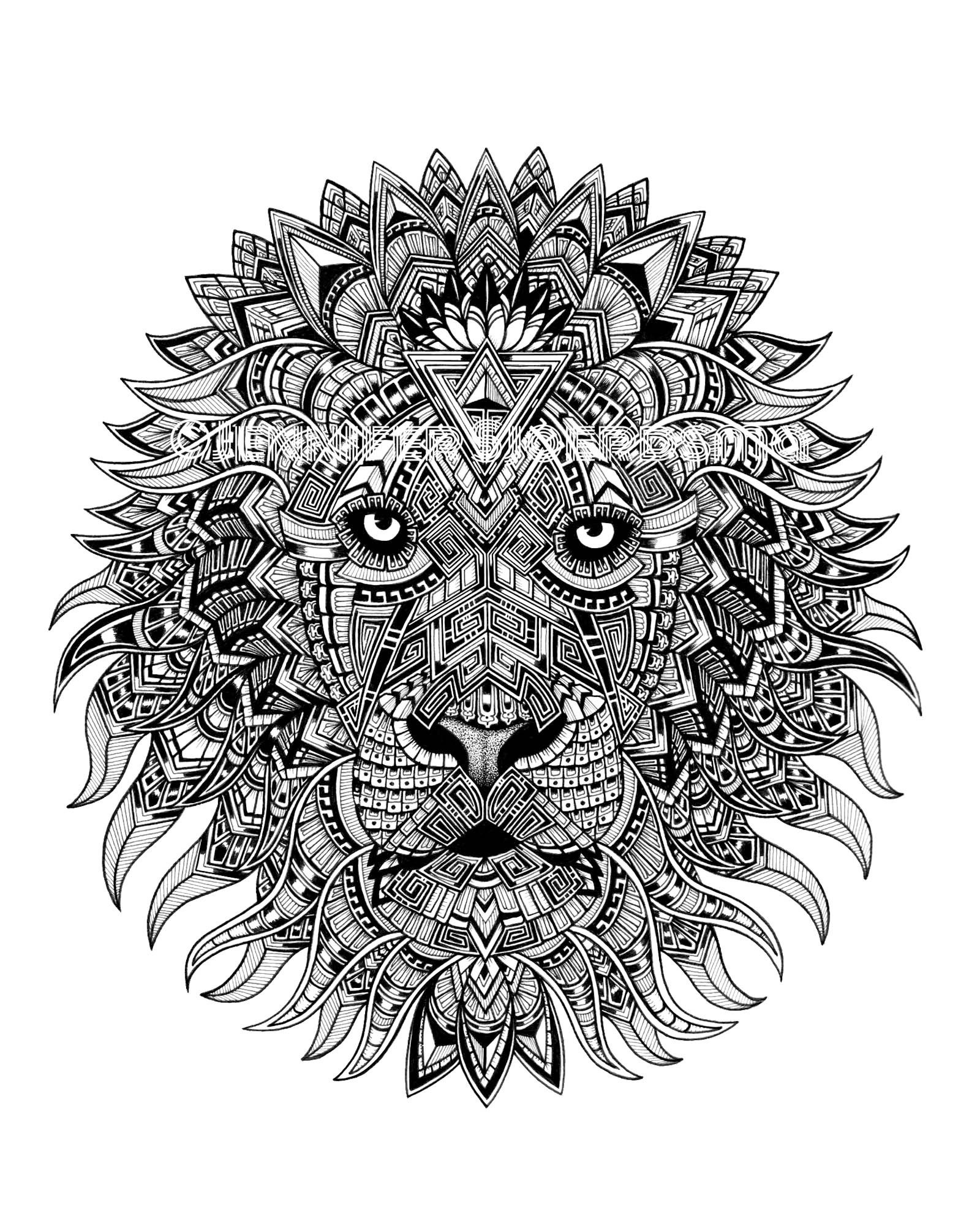 Lion Print - Ink Drawing - Nature Artwork - Black and White Animals ...
