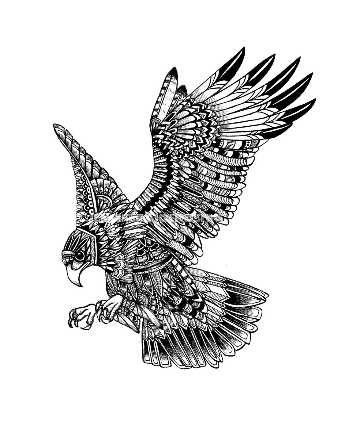 Hawk Print Ink Drawing Nature Artwork Black and White Animals Wall