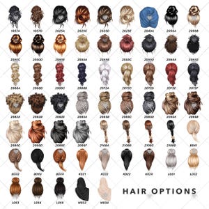 Pu&ograve; includere: Una collezione di varie opzioni di acconciatura, ognuna con un design unico. L'immagine mostra una variet&agrave; di acconciature, tra cui chignon, trecce e code di cavallo, in diversi colori. Il testo "HAIR OPTIONS" &egrave; in basso.