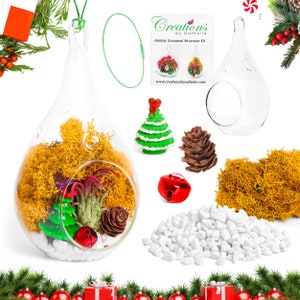 May include: A DIY terrarium kit with a clear glass teardrop-shaped ornament, white pebbles, green moss, a small pine cone, a red bell, a small green Christmas tree, and a small air plant. The kit also includes a clear glass bowl, a green string, and a small bag of yellow moss. The kit is labeled "Creations by Nathalie Holiday Ornament Terrarium Kit".