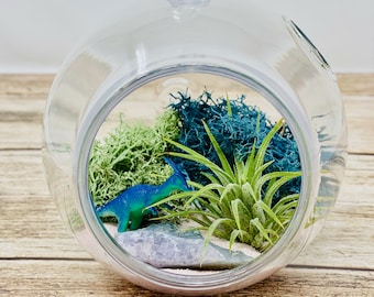 Reindeer Moss and Rocks *DIY Terrarium Plant Kit* Creations by Nathalie Holiday Decorations Kids Christmas Holiday Ornament Terrarium with Live Air Plant 5 Acrylic Globe Metal Stand
