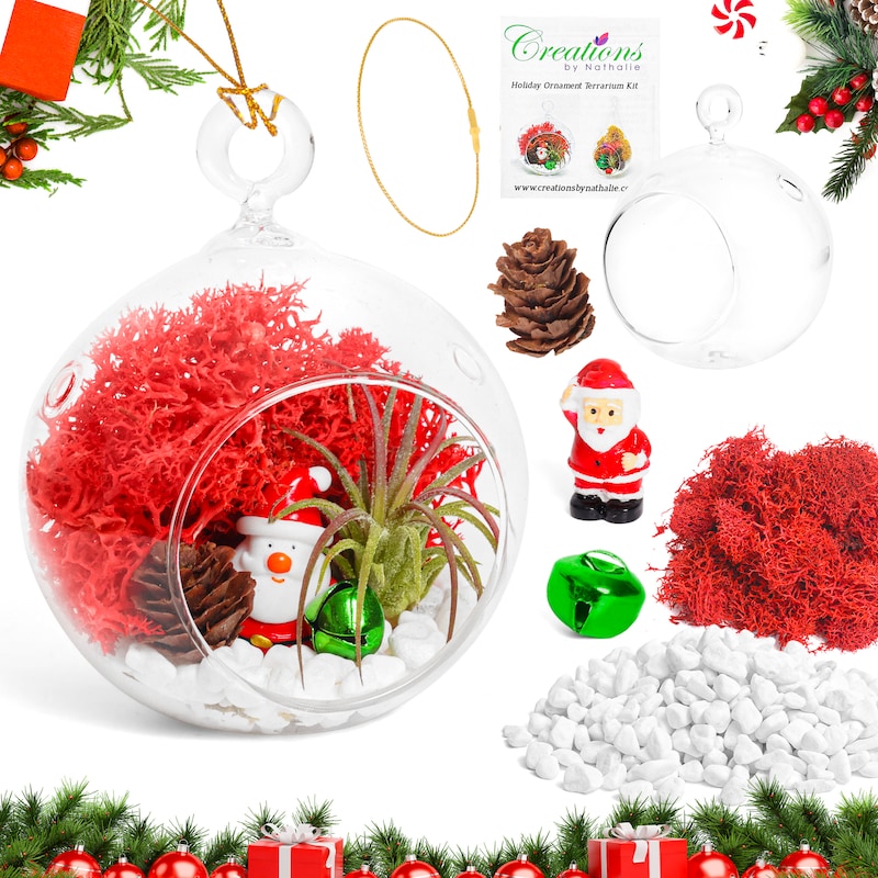 Holiday Terrarium Kit - Etsy
