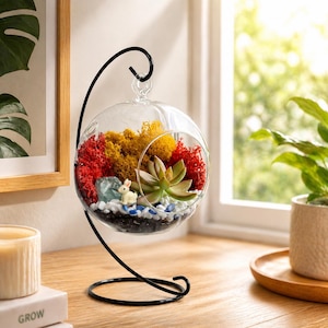 Könnte beinhalten: Ein kugelförmiges Glas-Terrarium mit einer Sukkulentenpflanze, farbigem Moos und dekorativen Steinen. Das Terrarium hängt an einem schwarzen Metallständer. Eine kleine Keramik-Hasenfigur befindet sich darin. Dekorationsobjekt.